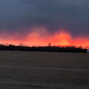 Meet your Posher, Gary